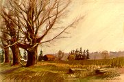 Beautiful Country Landscapes Paintings from Ontario #3